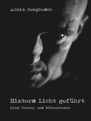 cover image of Hinters Licht geführt